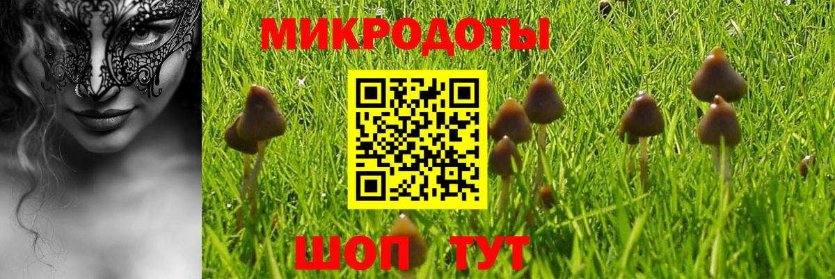 Нерюнгри  Галлюциногенные грибы мицелий  Вход с VPN 