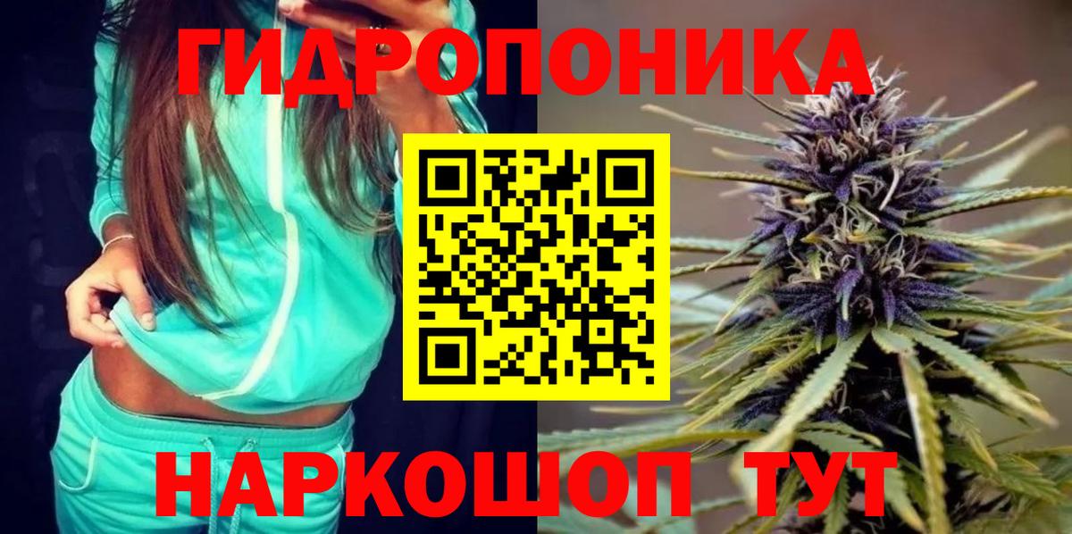 Бошки Шишки планчик Нерюнгри